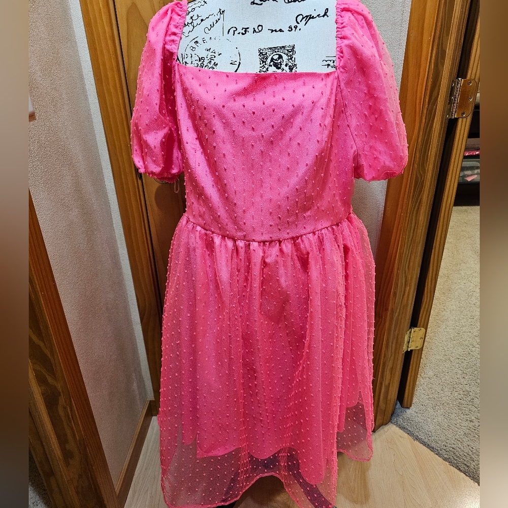 Jess Lea Hot Pink Dress, XL.